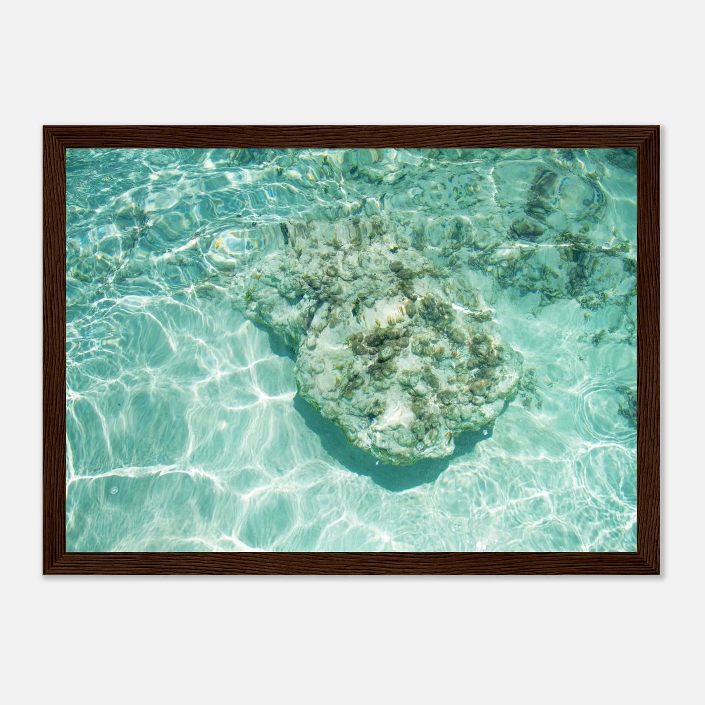 HAPPY MIND Poster *Tropischer Traum*