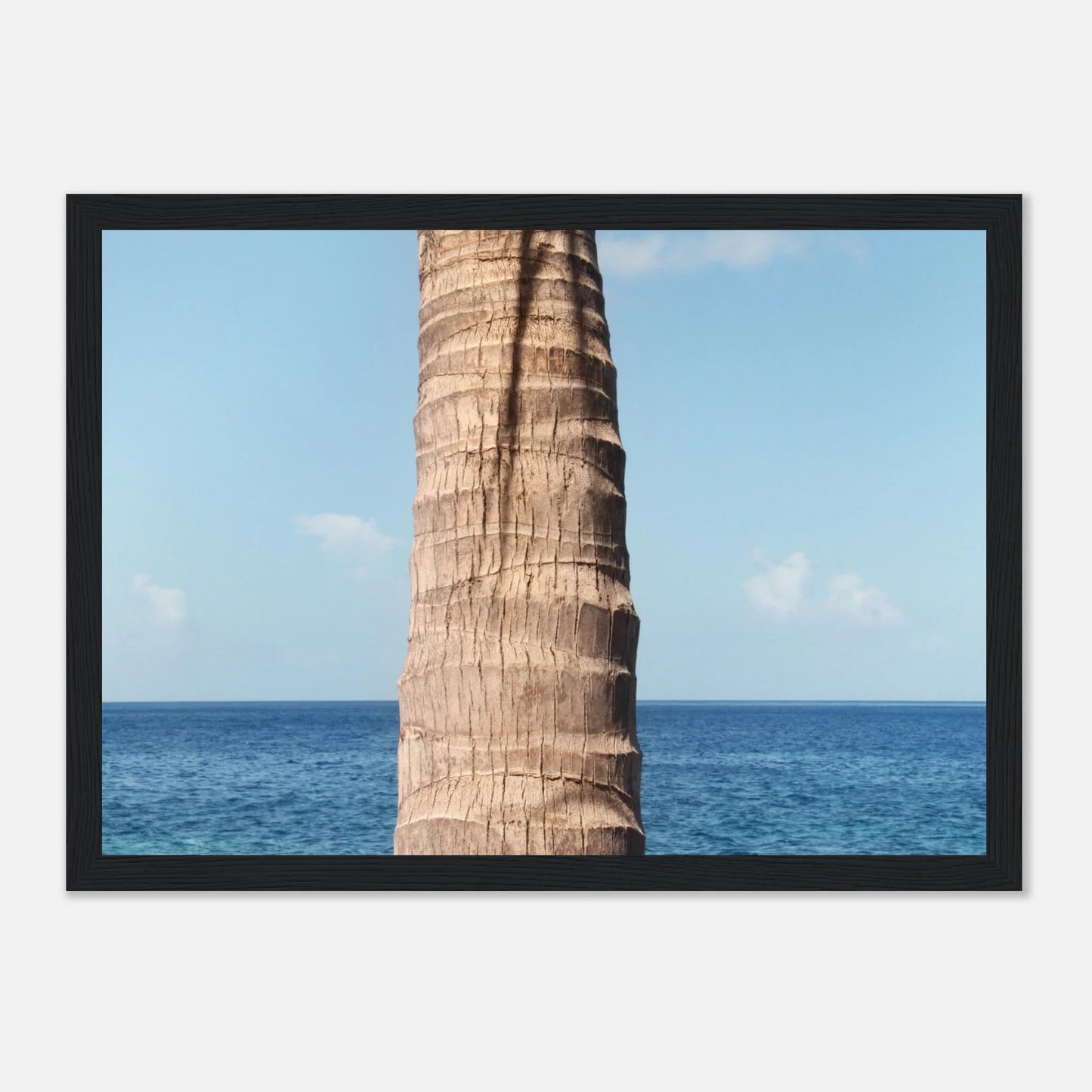 HAPPY MIND Poster *Karibische Palme ll*