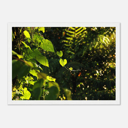 HAPPY MIND Poster *Herzen im Dschungel*