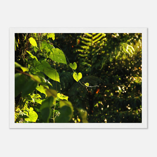 HAPPY MIND Poster *Herzen im Dschungel*