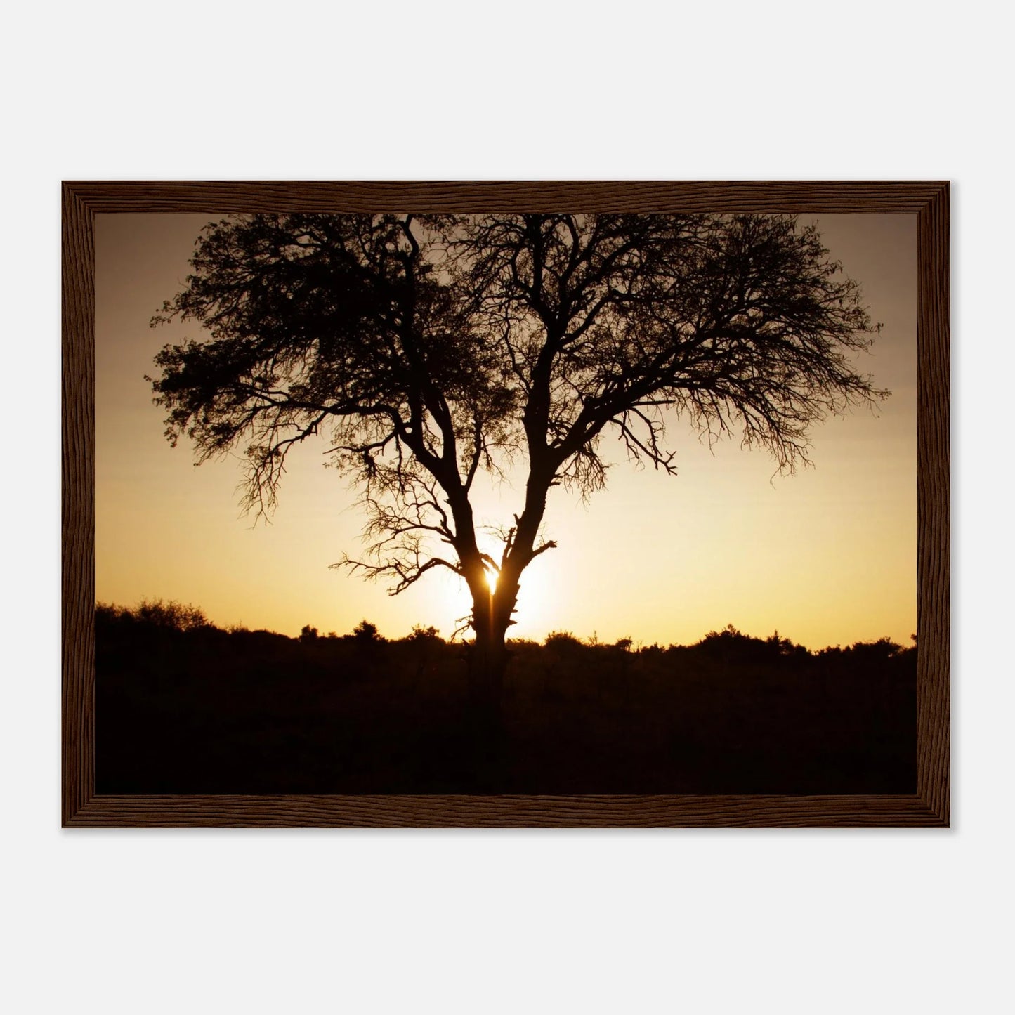 HAPPY MIND Poster *Magischer Baum*