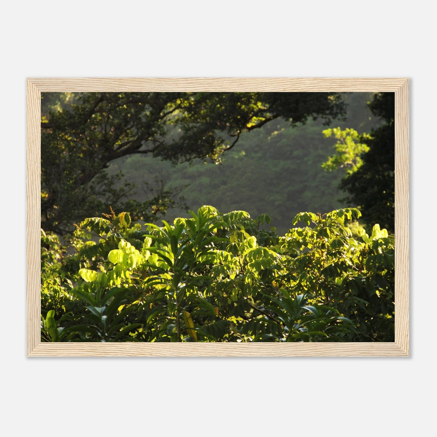 HAPPY MIND Poster *Tropischer Traum*