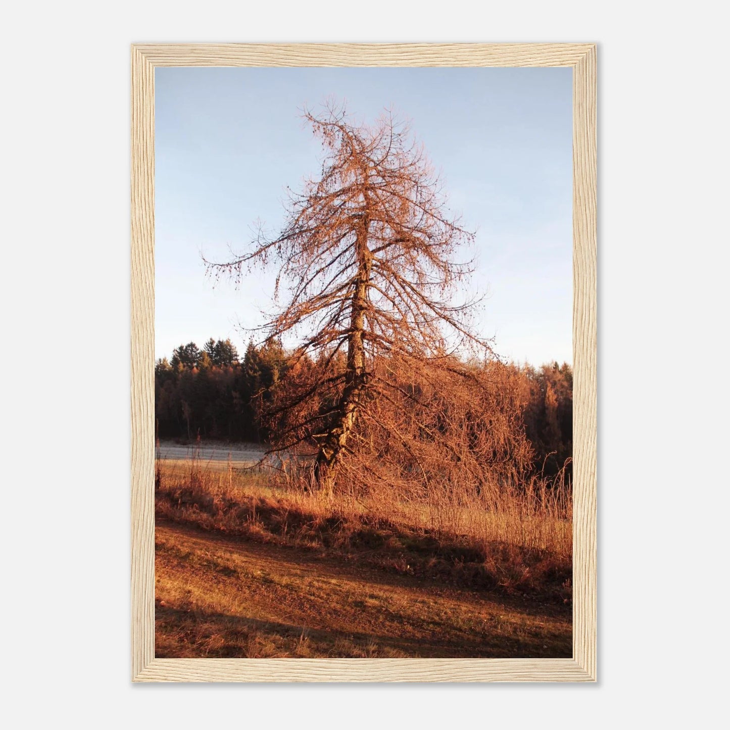 HAPPY MIND Poster *Wächter der Wege*