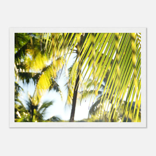 HAPPY MIND Poster *Tropenfeeling*