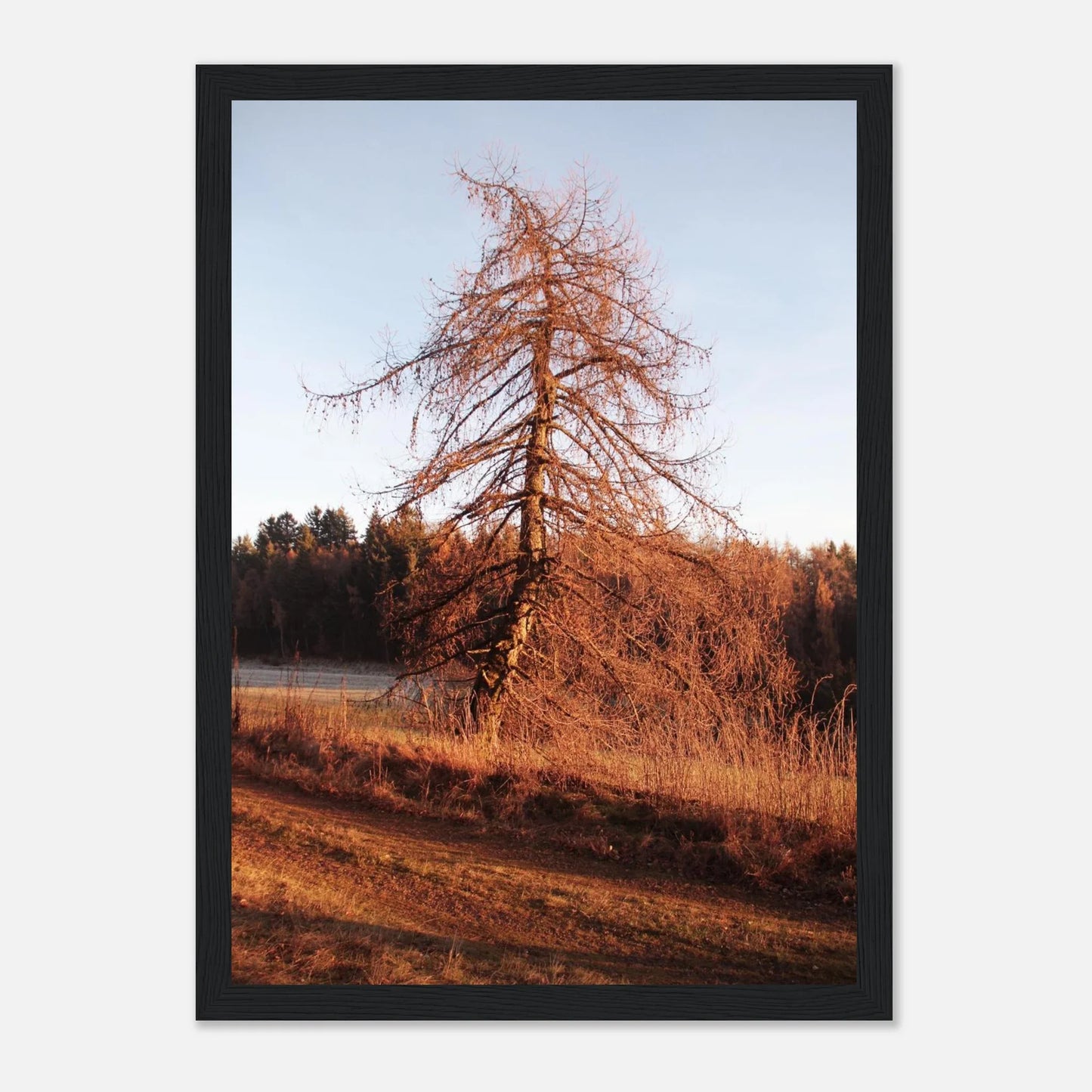 HAPPY MIND Poster *Wächter der Wege*