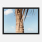 HAPPY MIND Poster *Karibische Palme l*