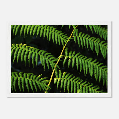HAPPY MIND Poster *Grüne Naturkraft*
