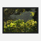 HAPPY MIND Poster *Tropischer Traum*