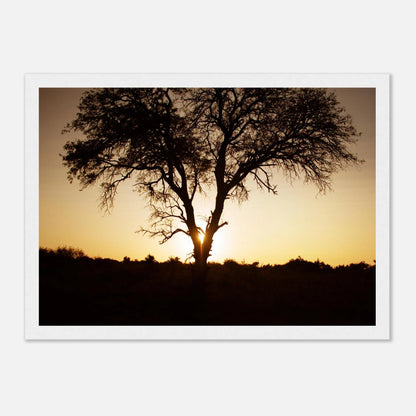 HAPPY MIND Poster *Magischer Baum*