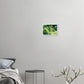 ede3f435-ba7b-4acc-9ea3-5e8675693cd4